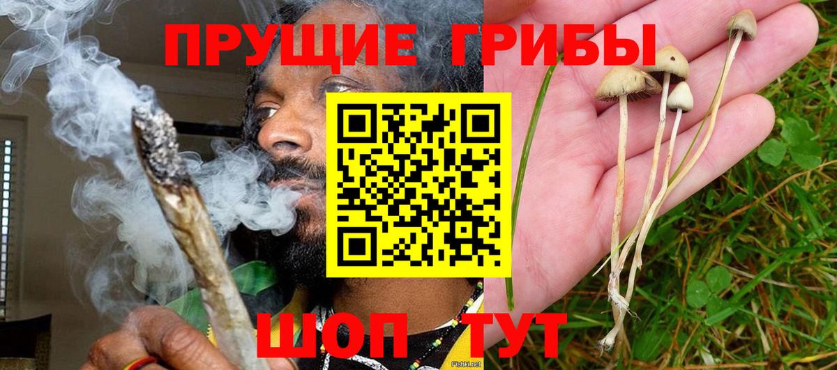 наркотики  Вход с VPN  Добрянка  Псилоцибиновые грибы Magic Shrooms 