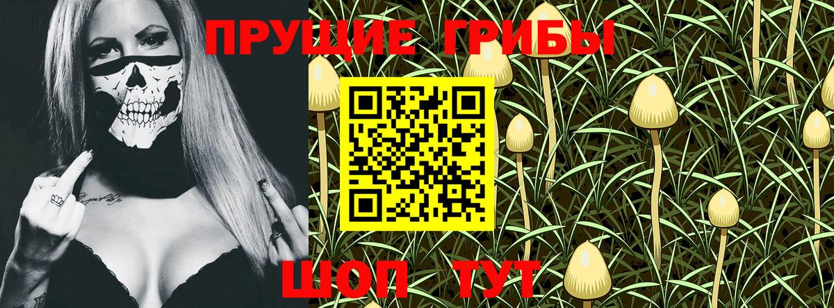 Псилоцибиновые грибы MAGIC MUSHROOMS Добрянка